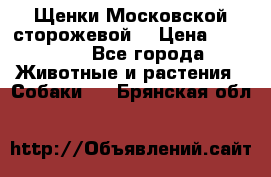 Щенки Московской сторожевой  › Цена ­ 25 000 - Все города Животные и растения » Собаки   . Брянская обл.